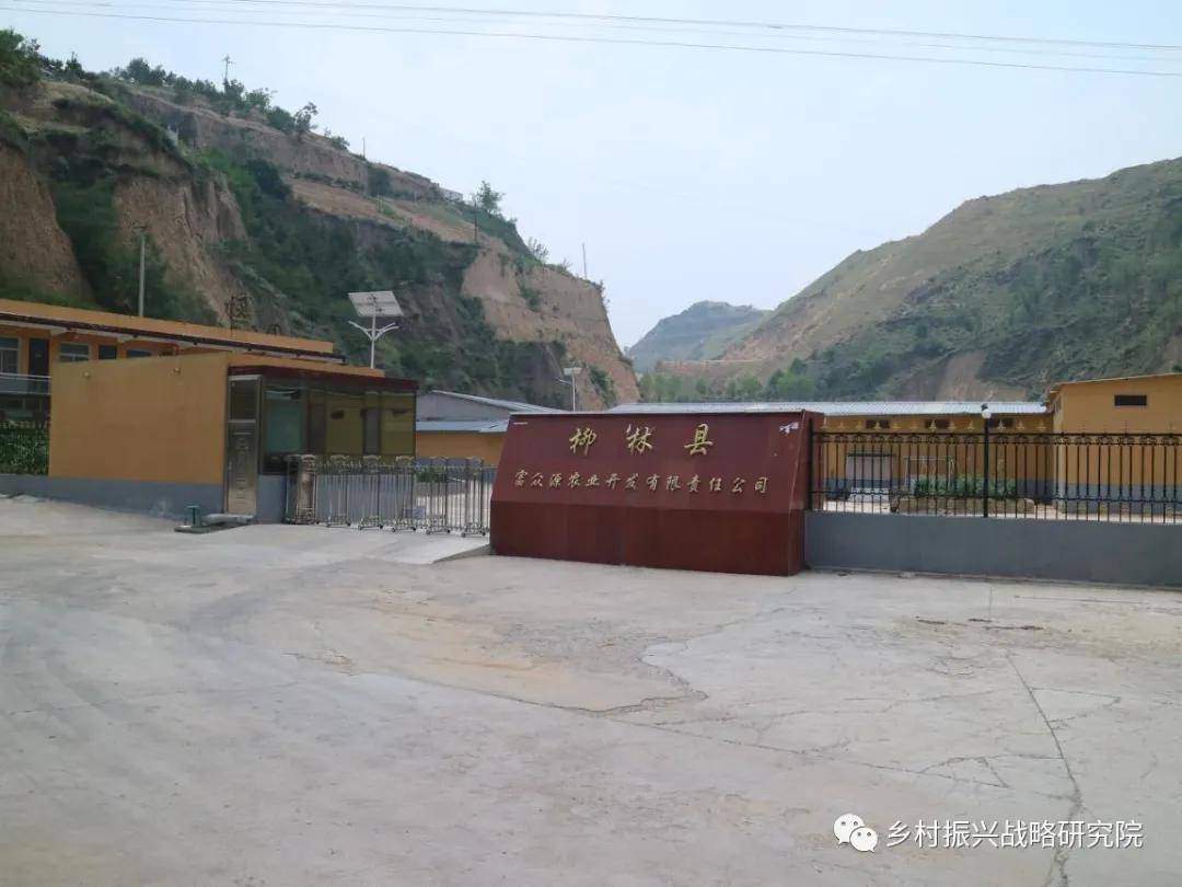 柳岔村委会最新项目启动，乡村振兴新动力源泉