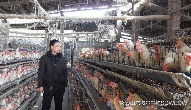 关于小鹿当家智能 第579页